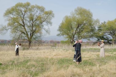 Bir grup kadın bir tarlada durup ağaçların fotoğraflarını çekiyor. Manzara huzurlu ve huzurlu, çünkü kadınlar doğanın güzelliğinden zevk alıyorlar.