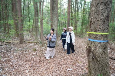 Üç kadın bir ormanda yürüyor, biri bebek tutuyor. Manzara huzurlu ve huzurlu, kadınlar doğada vakit geçirmekten hoşlanıyor.