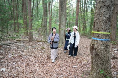Bir grup kadın ellerinde bir kamerayla bir ormanda yürüyorlar. Manzara huzurlu ve huzurlu, kadınlar doğada vakit geçirmekten hoşlanıyor.