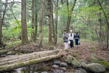 Üç kişi bir ormanda yürüyor, biri elinde kamerayla. Sahne huzurlu ve huzurlu, grup doğanın güzelliğini kavrıyor.