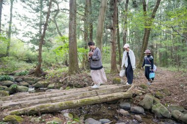 Bir grup kadın bir ormanda köprüden geçiyorlar. Manzara huzurlu ve sakin, kadınlar doğayla ve suyun sesiyle çevrili.