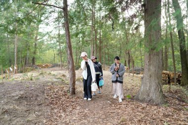 Üç kadın bir ormanda yürüyor, biri cep telefonuyla konuşuyor. Manzara huzurlu ve huzurlu, kadınlar doğada vakit geçirmekten hoşlanıyor.