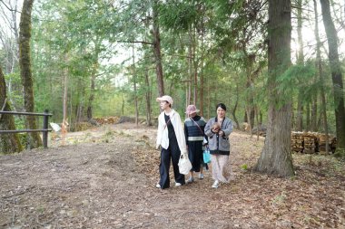 Üç kadın ormanda yürüyor, biri beyaz şapka takıyor. Manzara huzurlu ve huzurlu, kadınlar doğada vakit geçirmekten hoşlanıyor.