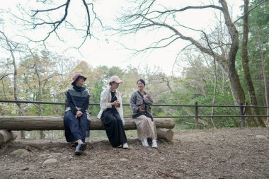 Parkta kütüğün üzerinde oturan üç kadın. İçlerinden biri pembe bir şapka takıyor. Manzara huzurlu ve rahatlatıcı.