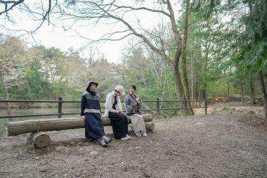 Parktaki bir kütükte üç kadın oturuyor. İçlerinden biri şapka takıyor. Manzara huzurlu ve rahatlatıcı.