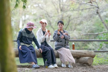 Parkta kütüğün üzerinde oturan üç kadın. İçlerinden biri bir bebek tutuyor. Manzara huzurlu ve rahatlatıcı.