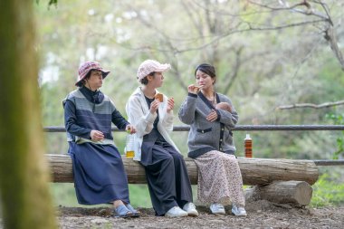 Parkta kütüğün üzerinde oturan üç kadın. İçlerinden biri bir bebek tutuyor. Manzara huzurlu ve rahatlatıcı.