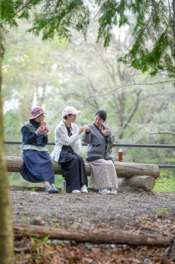 Üç kadın ormanda bir kütükte oturuyor, biri pembe şapka takıyor. Yiyip içiyorlar, arkadaşlıklarının tadını çıkarıyorlar.