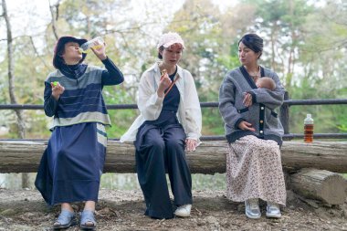 Üç kadın kütüğün üzerinde oturuyor, biri bebeği tutuyor. Şişelerden içip abur cubur yiyorlar. Sahne rahat ve rahat, çünkü kadınlar doğada bir mola veriyor.