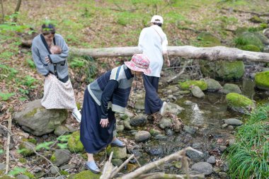 Bir grup insan ormanda yürüyordu ve bir kadın suya bakıyordu.