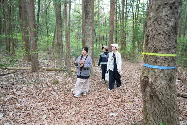 Üç kadın bir ormanda yürüyor, biri bebek tutuyor. Manzara huzurlu ve huzurlu, kadınlar doğada vakit geçirmekten hoşlanıyor.