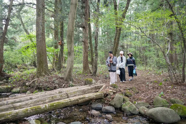 Üç kişi bir ormanda yürüyor, biri elinde kamerayla. Sahne huzurlu ve huzurlu, grup doğanın güzelliğini kavrıyor.