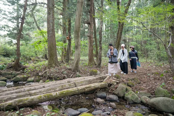 Bir grup insan yolun ortasında büyük bir kütükle bir ormanda yürüyorlar. Sahne huzurlu ve huzurlu, bir grup insan doğadaki zamanlarının tadını çıkarıyor gibi görünüyor.