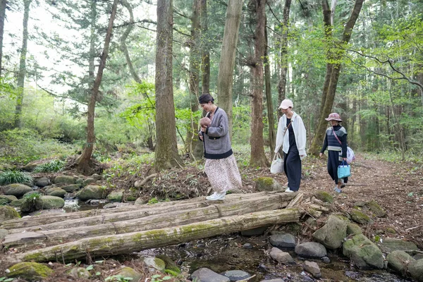 Bir grup kadın bir ormanda köprüden geçiyorlar. Manzara huzurlu ve sakin, kadınlar doğayla ve suyun sesiyle çevrili.