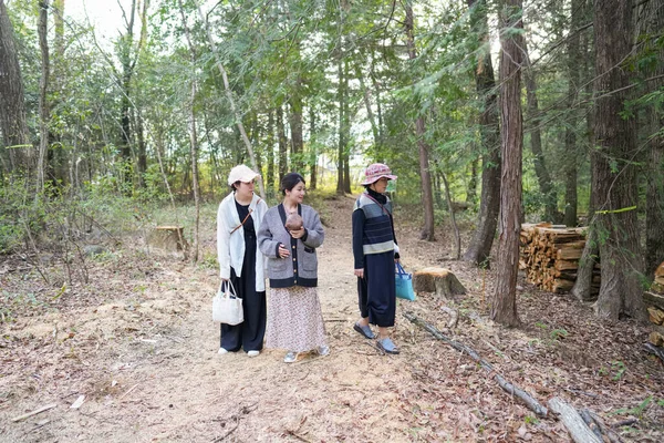Üç kadın bir ormanda yürüyor, biri bebek tutuyor. Atmosfer sakin ve huzurlu, etraflarındaki doğanın güzelliğinin tadını çıkaran kadınlar var.