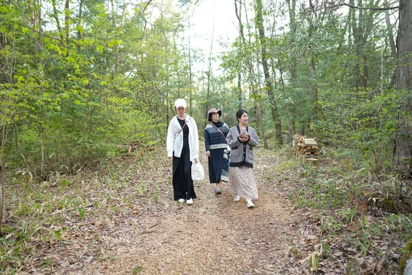 Üç kadın bir ormanda yürüyor, biri elinde kamerayla. Manzara huzurlu ve huzurlu, kadınlar doğada vakit geçirmekten hoşlanıyor.
