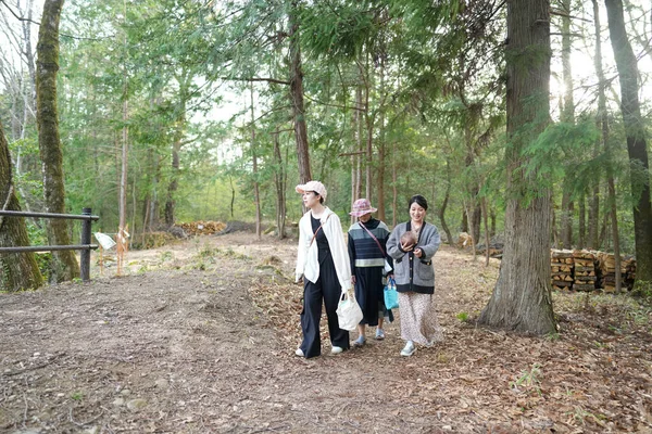 Üç kadın ormanda yürüyor, biri beyaz şapka takıyor. Manzara huzurlu ve huzurlu, kadınlar doğada vakit geçirmekten hoşlanıyor.