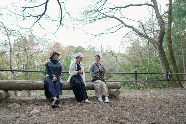 Parkta kütüğün üzerinde oturan üç kadın. İçlerinden biri pembe bir şapka takıyor. Manzara huzurlu ve rahatlatıcı.