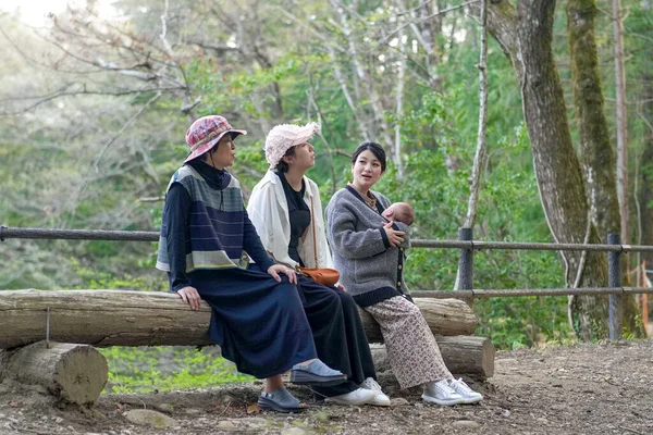 Üç kadın ormanda bir kütüğün üzerinde oturuyor, biri bebeği tutuyor. Manzara huzurlu ve huzurlu, çünkü kadınlar doğal ortamda birbirlerine eşlik etmekten hoşlanıyorlar.