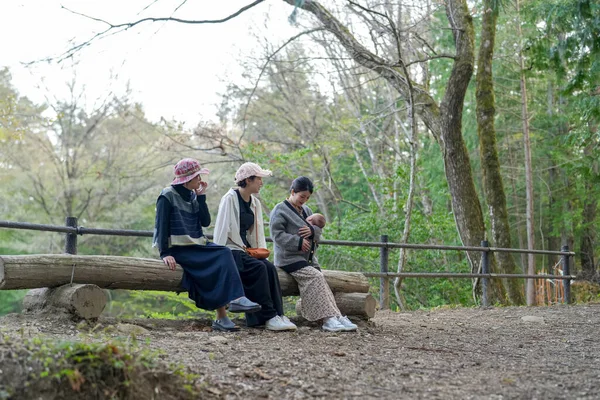 Üç kadın ormanda bir kütüğün üzerinde oturuyor, biri cep telefonuyla konuşuyor. Ormanın sessizliğinde kadınlar birbirlerine eşlik etmekten hoşlanırken manzara huzurlu ve huzurlu.