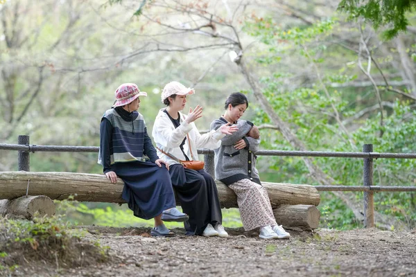 Ormanda bir kütüğün üzerinde oturan üç kadın. İçlerinden biri bir bebek tutuyor.