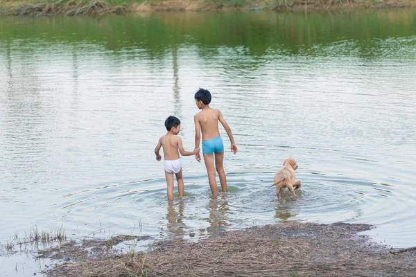 Zwei Jungen unterschiedlichen Alters und Hunde gehen im Fluss schwimmen — Stockfoto
