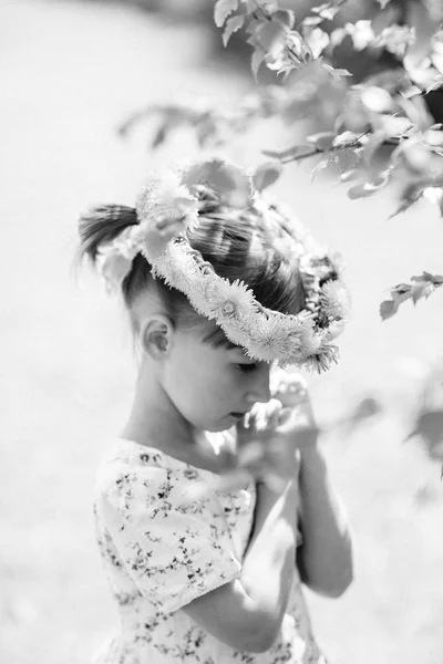 Little Cute Caucasian Girl Dandelion Wreath Monochrome Image — Stock Photo, Image