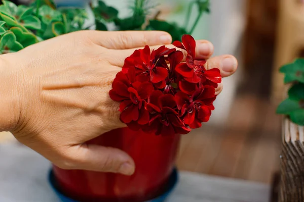 hand holding flowers in garden, close up shot