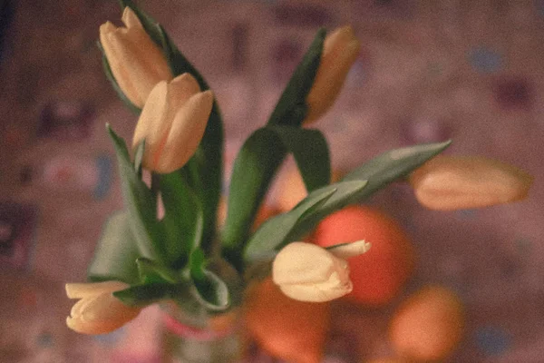 Close Flores Tulipa Vaso Dentro Casa — Fotografia de Stock