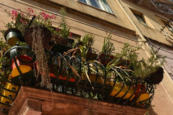 Typical Old Balcony Plants Pots — Stock Photo, Image