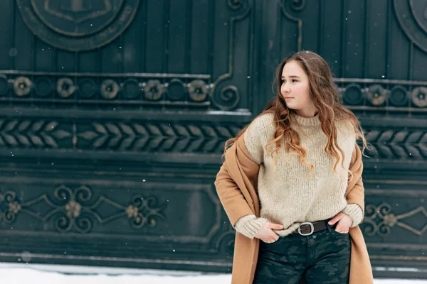 Jovem Menina Elegante Casaco Marrom Posando Livre Temporada Inverno — Fotografia de Stock