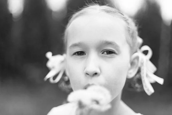 Portret Van Kleine Meisje Waait Paardebloem Bloemen — Stockfoto