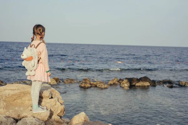Πίσω Όψη Του Μικρού Κοριτσιού Που Στέκεται Στο Βράχο Στο — Φωτογραφία Αρχείου