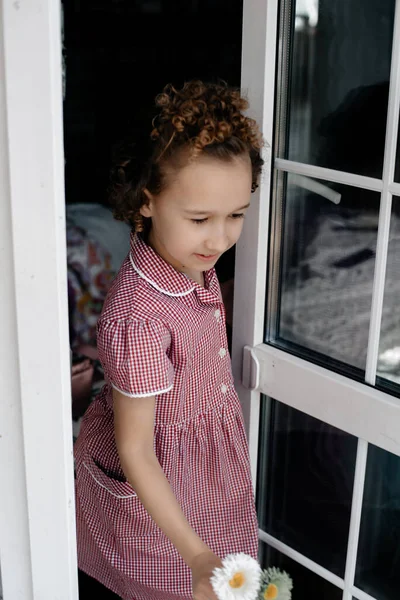 Милая Маленькая Девочка Ромашками — стоковое фото