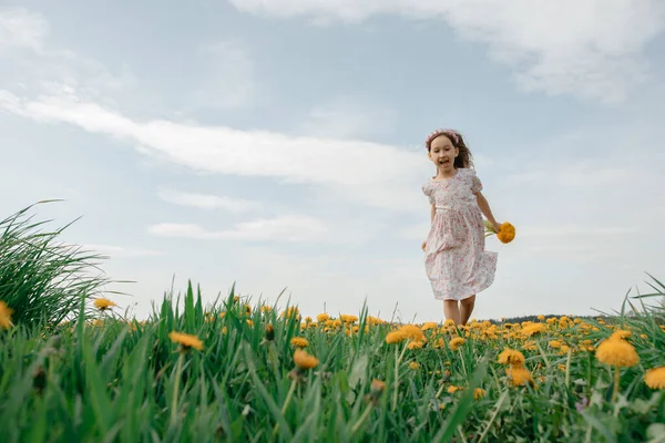 Little Girl White Dress Collects Dandelions Summer Day Field Carefree — Stock Photo, Image