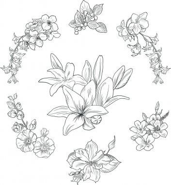 Zambak deseni, çiçek süsü, toile de jouy. Kusursuz arka plan. Vintage tarzında elle çizilmiş illüstrasyon