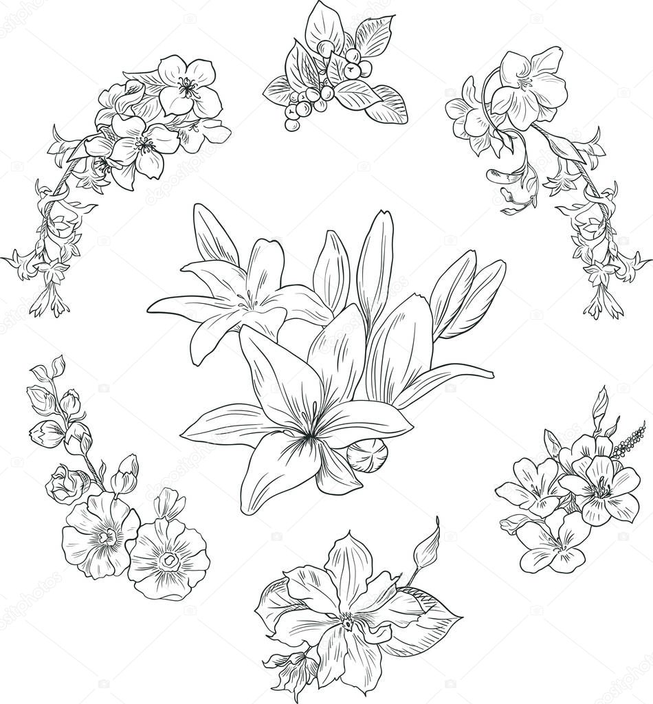 Lily pattern, floral ornament, toile de jouy. Seamless background. Hand drawn illustration in vintage style
