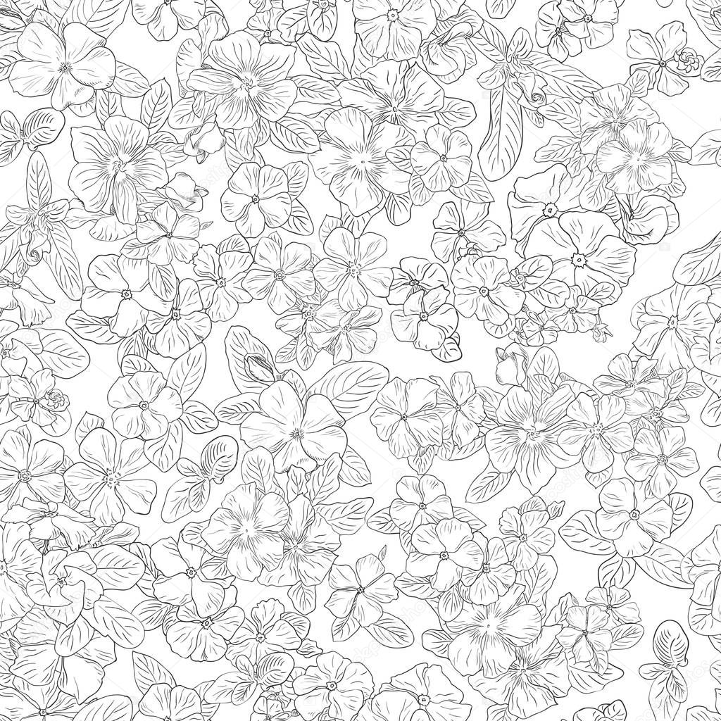 Seamless pattern with flowers on background. Wallpaper with flower texture. Black lines on white background