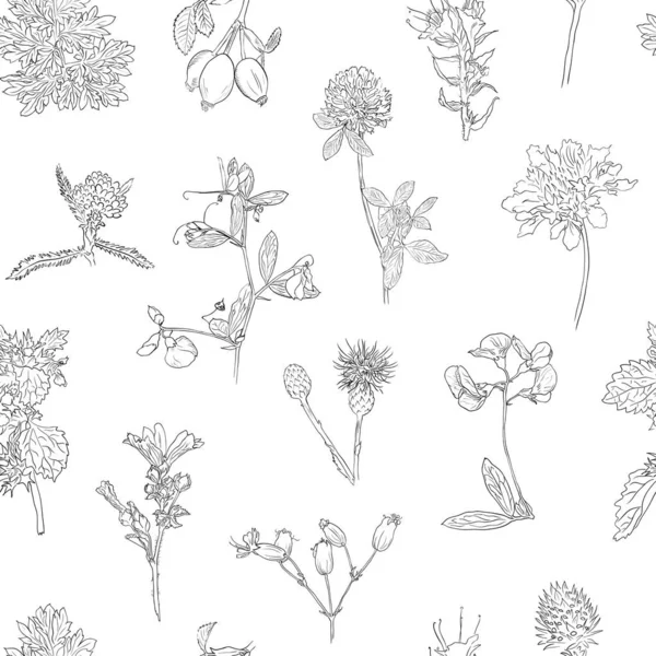 Wildblumen Beeren nahtlose Muster handgezeichnet Vektor botanische Illustration Hintergrund Heckenrose, Klette, Kräuter — Stockvektor