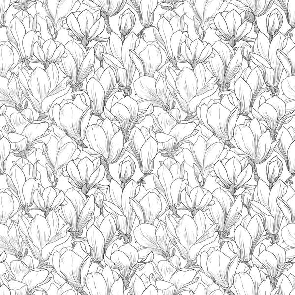 Patrón de Magnolia, adorno floral de línea. Fondo sin fisuras. Ilustración dibujada a mano en estilo vintage, blanco, negro — Archivo Imágenes Vectoriales
