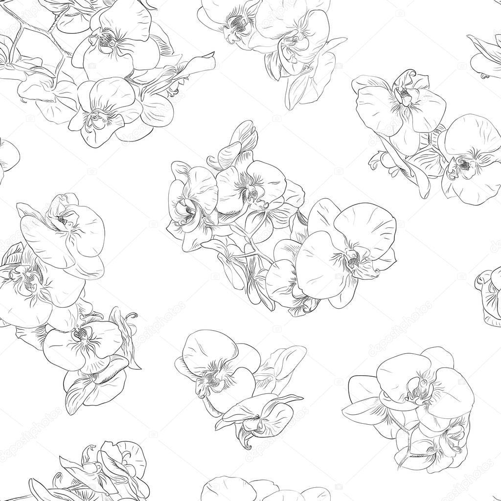 Flowers seamless pattern background line illustration orchids. Floral elements.