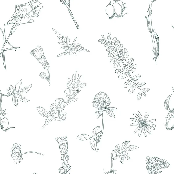 Wildblumen Beeren nahtlose Muster handgezeichnet Vektor botanische Illustration Hintergrund Heckenrose, Klette, Kräuter — Stockvektor