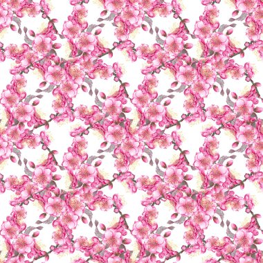 Beyaz zemin üzerine suluboya Erik seamless modeli. Botanik illüstrasyon el çekilmiş.