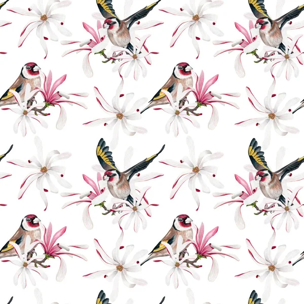 Aquarelle Motif Sans Couture Avec Des Oiseaux Des Fleurs Magnolia — Photo