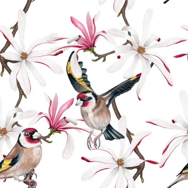 Akwarela Bezszwowe Wzór Ptaki Kwiaty Magnolia Białym Tle Ilustracja — Zdjęcie stockowe
