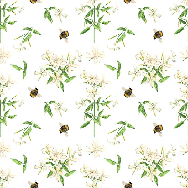 无缝图案与水彩茉莉花花和蜜蜂在白色背景 植物学插画 — 图库照片