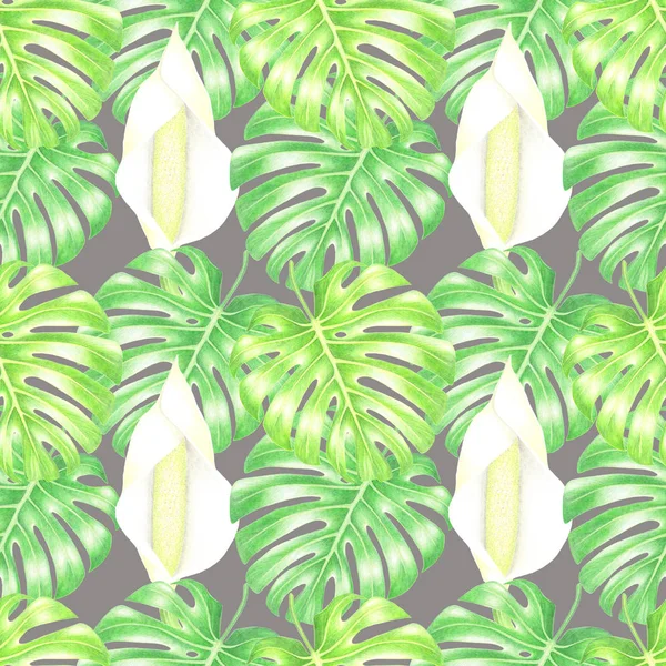 Aquarelle Monstera Feuilles Fleurs Motif Exotique Sans Couture Sur Fond — Photo