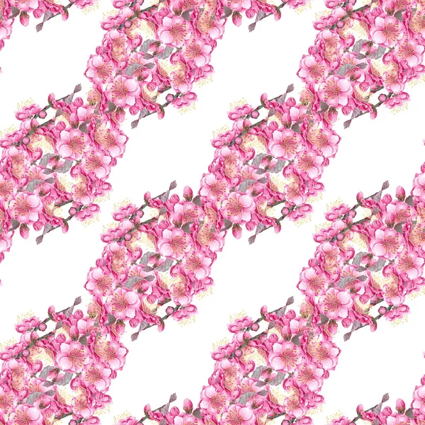 Aquarell Pflaume Nahtlose Muster Auf Weißem Hintergrund Handgezeichnete Botanische Illustration lizenzfreie Stockfotos
