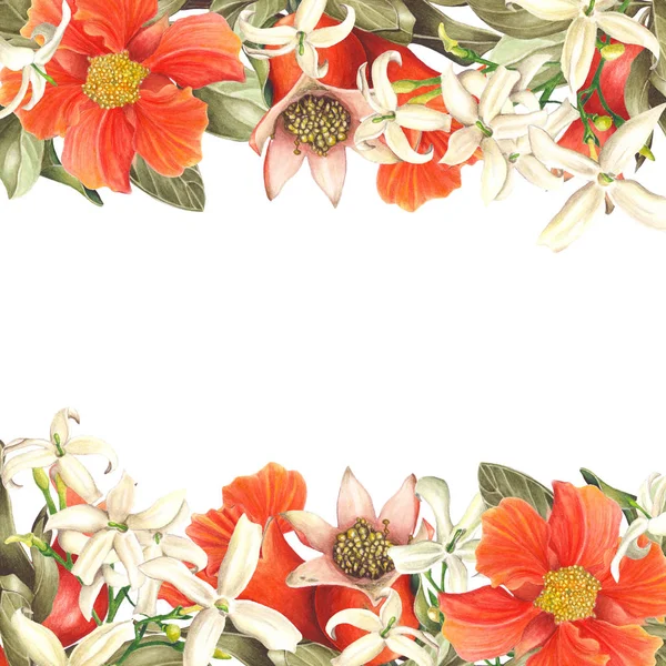 Blossoming Jasmine and Pomegranate frame on white background. Botanical Watercolor illustration — Stock Image Blossoming Jasmine Pomegranate Frame White Background Botanical Watercolor Illustration Stock Photo