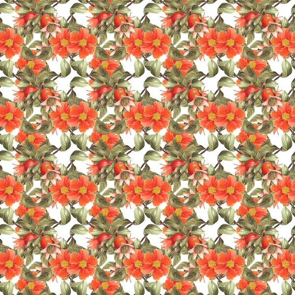 Seamless pattern with watercolor pomegranate flowers on white background. — Stock Image Seamless Pattern Watercolor Pomegranate Flowers White Background Stock Photo